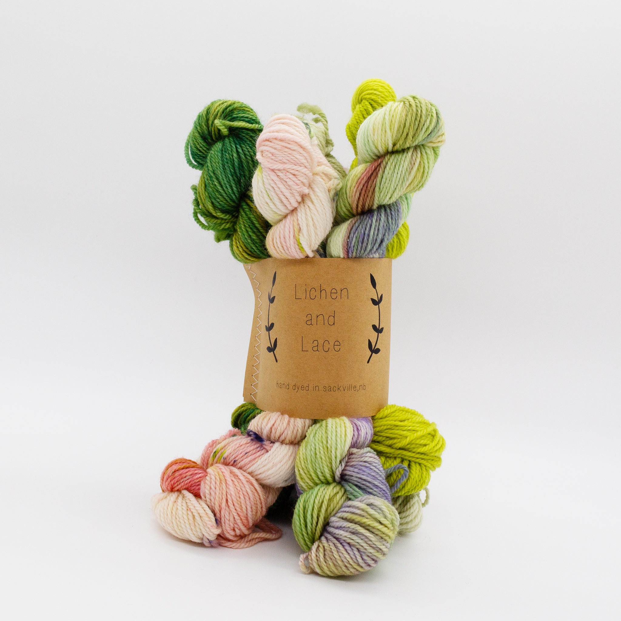 Wildflower Whimsy - Mini Sock Fade Set Lichen & Lace